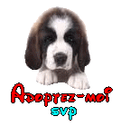 [résolu]GOOGLE Saint Bernard mâle 2 ans poils longs - SOS vies de chiens (24) 1440183840