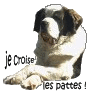 [résolu]J'offre un portrait de votre chien pour tout don de 50€ à Patauds sans Collier ! 1803296161